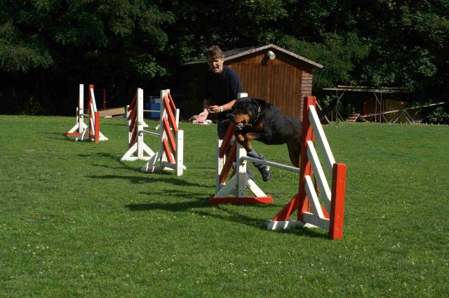 agility 2011-07-24